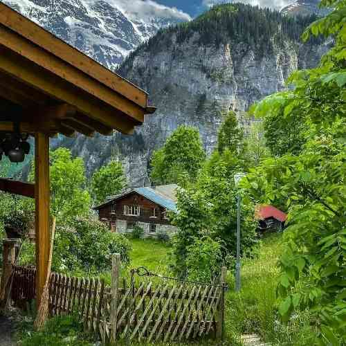 رضا کرامت برات نامه نوشتم رو گل یاس